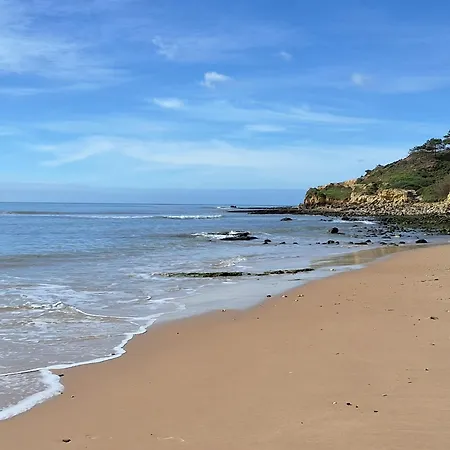 Sunshine 阿尔布费拉