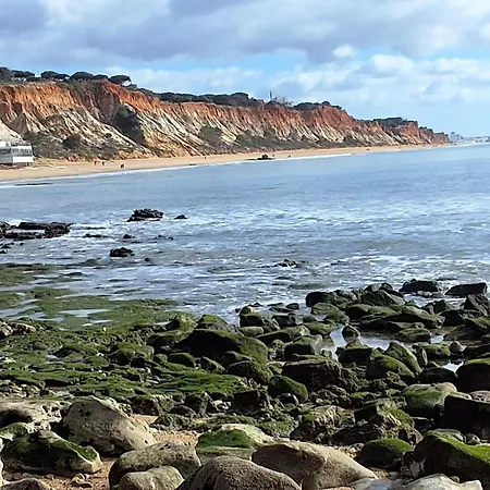 Sunshine * Albufeira